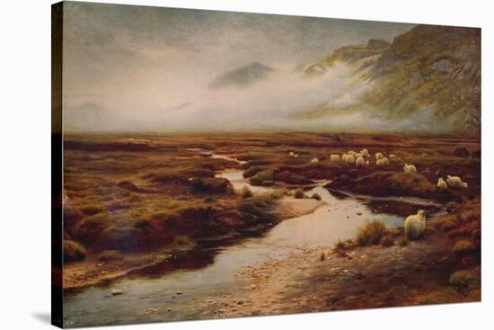 'The Moss at Poolewe', 1913, (c1915)-Joseph Farquharson-Stretched Canvas