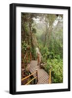 The Mossy Forest, Gunung Brinchang, Cameron Highlands, Pahang, Malaysia, Southeast Asia, Asia-Jochen Schlenker-Framed Photographic Print