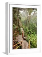 The Mossy Forest, Gunung Brinchang, Cameron Highlands, Pahang, Malaysia, Southeast Asia, Asia-Jochen Schlenker-Framed Photographic Print