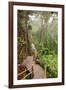 The Mossy Forest, Gunung Brinchang, Cameron Highlands, Pahang, Malaysia, Southeast Asia, Asia-Jochen Schlenker-Framed Photographic Print