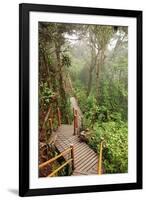 The Mossy Forest, Gunung Brinchang, Cameron Highlands, Pahang, Malaysia, Southeast Asia, Asia-Jochen Schlenker-Framed Photographic Print