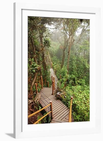 The Mossy Forest, Gunung Brinchang, Cameron Highlands, Pahang, Malaysia, Southeast Asia, Asia-Jochen Schlenker-Framed Photographic Print