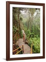 The Mossy Forest, Gunung Brinchang, Cameron Highlands, Pahang, Malaysia, Southeast Asia, Asia-Jochen Schlenker-Framed Photographic Print