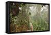 The Mossy Forest, Gunung Brinchang, Cameron Highlands, Pahang, Malaysia, Southeast Asia, Asia-Jochen Schlenker-Framed Stretched Canvas