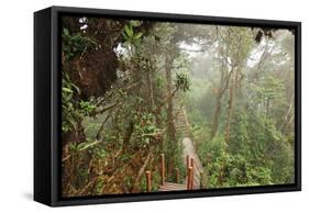 The Mossy Forest, Gunung Brinchang, Cameron Highlands, Pahang, Malaysia, Southeast Asia, Asia-Jochen Schlenker-Framed Stretched Canvas
