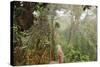 The Mossy Forest, Gunung Brinchang, Cameron Highlands, Pahang, Malaysia, Southeast Asia, Asia-Jochen Schlenker-Stretched Canvas