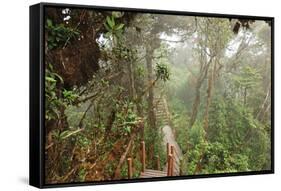 The Mossy Forest, Gunung Brinchang, Cameron Highlands, Pahang, Malaysia, Southeast Asia, Asia-Jochen Schlenker-Framed Stretched Canvas