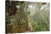 The Mossy Forest, Gunung Brinchang, Cameron Highlands, Pahang, Malaysia, Southeast Asia, Asia-Jochen Schlenker-Stretched Canvas