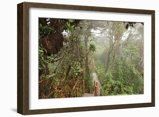 The Mossy Forest, Gunung Brinchang, Cameron Highlands, Pahang, Malaysia, Southeast Asia, Asia-Jochen Schlenker-Framed Photographic Print