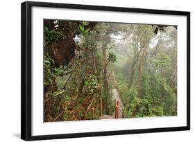 The Mossy Forest, Gunung Brinchang, Cameron Highlands, Pahang, Malaysia, Southeast Asia, Asia-Jochen Schlenker-Framed Photographic Print