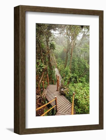 The Mossy Forest, Gunung Brinchang, Cameron Highlands, Pahang, Malaysia, Southeast Asia, Asia-Jochen Schlenker-Framed Photographic Print