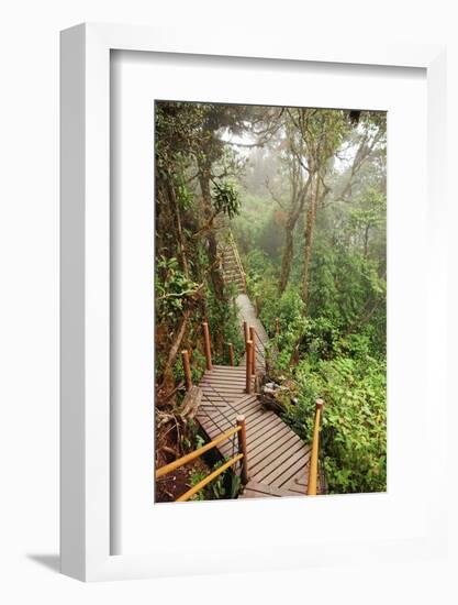 The Mossy Forest, Gunung Brinchang, Cameron Highlands, Pahang, Malaysia, Southeast Asia, Asia-Jochen Schlenker-Framed Photographic Print