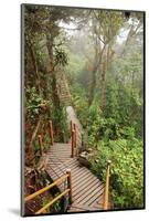 The Mossy Forest, Gunung Brinchang, Cameron Highlands, Pahang, Malaysia, Southeast Asia, Asia-Jochen Schlenker-Mounted Photographic Print