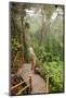 The Mossy Forest, Gunung Brinchang, Cameron Highlands, Pahang, Malaysia, Southeast Asia, Asia-Jochen Schlenker-Mounted Photographic Print