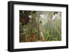 The Mossy Forest, Gunung Brinchang, Cameron Highlands, Pahang, Malaysia, Southeast Asia, Asia-Jochen Schlenker-Framed Photographic Print