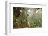 The Mossy Forest, Gunung Brinchang, Cameron Highlands, Pahang, Malaysia, Southeast Asia, Asia-Jochen Schlenker-Framed Photographic Print