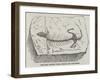 The Most Ancient Fossil Reptile Yet Discovered-null-Framed Giclee Print