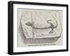 The Most Ancient Fossil Reptile Yet Discovered-null-Framed Giclee Print