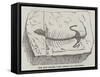 The Most Ancient Fossil Reptile Yet Discovered-null-Framed Stretched Canvas