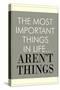The Most Important Things In Life Aren't Things-null-Stretched Canvas