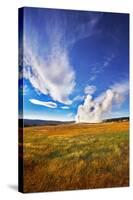 The Most Well-Known of the World Geyser in Yellowstone National Park - Old Faithful.-kavram-Stretched Canvas