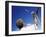 The Motion of Serving-null-Framed Premium Photographic Print
