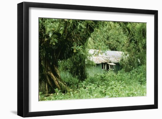 The Mountain Gorilla Story Diane Fossey's House-null-Framed Premium Photographic Print