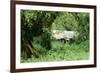 The Mountain Gorilla Story Diane Fossey's House-null-Framed Photographic Print