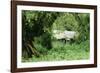 The Mountain Gorilla Story Diane Fossey's House-null-Framed Photographic Print