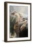 The Mountain Mists Or, Clyties of the Mist, 1912-Herbert James Draper-Framed Premium Giclee Print