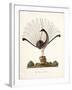 The Mountain Pheasant (Lyrebird) 1819-Richard Browne-Framed Giclee Print