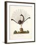 The Mountain Pheasant (Lyrebird) 1819-Richard Browne-Framed Giclee Print