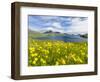 The mountains and cliffs of Streymoy with the Vestmannasund. Denmark, Faroe Islands-Martin Zwick-Framed Photographic Print