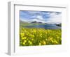 The mountains and cliffs of Streymoy with the Vestmannasund. Denmark, Faroe Islands-Martin Zwick-Framed Photographic Print