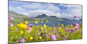 The mountains and cliffs of Streymoy with the Vestmannasund. Denmark, Faroe Islands-Martin Zwick-Mounted Photographic Print