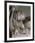 The Mourning of Countess De Haro-Antonio Canova-Framed Giclee Print