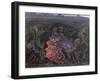 The Mouth of Hell, 1915-null-Framed Giclee Print