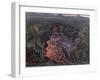 The Mouth of Hell, 1915-null-Framed Giclee Print