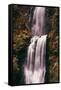 The Mouth of Multnomah, Waterfall Columbia River Gorge, Oregon-Vincent James-Framed Stretched Canvas