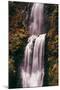 The Mouth of Multnomah, Waterfall Columbia River Gorge, Oregon-Vincent James-Mounted Photographic Print