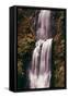 The Mouth of Multnomah, Waterfall Columbia River Gorge, Oregon-Vincent James-Framed Stretched Canvas