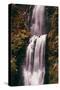 The Mouth of Multnomah, Waterfall Columbia River Gorge, Oregon-Vincent James-Stretched Canvas