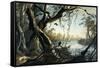 The Mouth of the Fox River, Indiana-Karl Bodmer-Framed Stretched Canvas