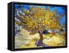 The Mulberry Tree-Vincent Van Gogh-Framed Stretched Canvas