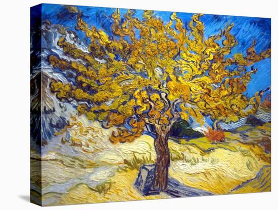 The Mulberry Tree-Vincent van Gogh-Stretched Canvas