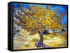 The Mulberry Tree-Vincent van Gogh-Framed Stretched Canvas