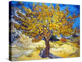 The Mulberry Tree-Vincent van Gogh-Stretched Canvas