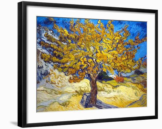 The Mulberry Tree-Vincent van Gogh-Framed Art Print