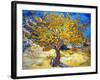 The Mulberry Tree-Vincent van Gogh-Framed Art Print