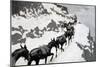 The Mule Pack (An Ore-Train Going into the Silver Mines, Colorado) 1901 (Oil on Canvas)-Frederic Remington-Mounted Giclee Print